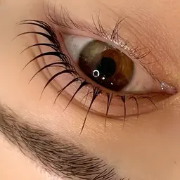 《人気no1メニュー》ラッシュリフト+パーソナルアイブロウ（眉ワックス＋眉カット）