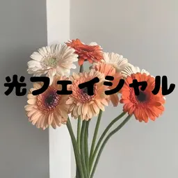 🪞女性🪞光フェイシャル