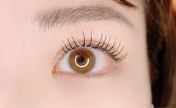 【フラットラッシュ】LED100本まで