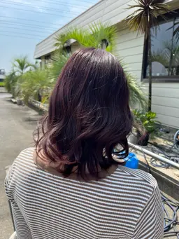 🌴カット+カラー(全体染め)
