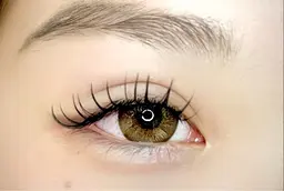 フラットラッシュ100本