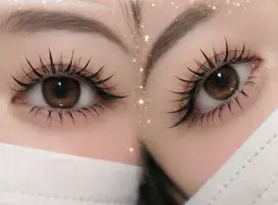 ワンホンマツエク 二重のモデル様募集 ※デザインは選べません 1/16 11時限定!