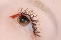 🟧フラットラッシュ60本【オフ無料】