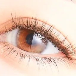 先着10名様限定❣️【オフなし】下まつ毛エクステ30​〜​40本🤍今だけ¥2000✨