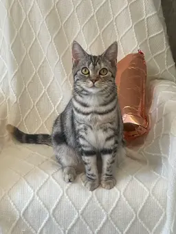 【リピーター様】は、hotpepper beautyからご予約お願い致します♪