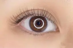 ナチュラルな仕上がり♪付け足しにも◎シングル(セーブルorフラットラッシュ)80本