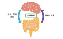 脳腸相関【腸もみ➕ドライヘッドマッサージ】ガチガチになった頭とお腹を緩めます。デトックスジュース付き