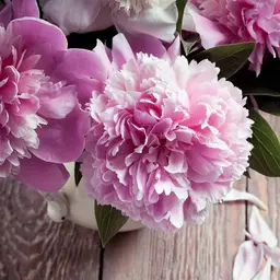 リピーター様&コース消化専用