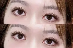 限定メニュー🦋 バインドロック 付け足し　つけ放題60束（200本）まで 美容液あり オフなし