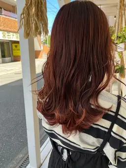 [📕当日限定📕]カット+暖色ケアカラー
