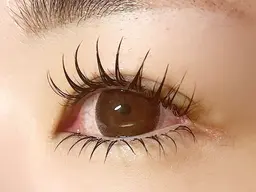 下まつげ30本🤍🪽