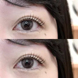 【韓国風】束間パリジェンヌラッシュリフト(コーティング付き)