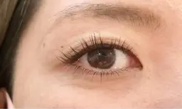 ケラチンラッシュリフト上下