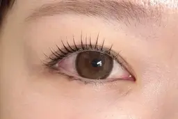 【限定価格！！】卒業入学式前に☺︎目元ぱっちり👀選べるまつげパーマ＋ケラチントリートメントset★  ¥4400