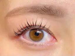 まつ毛カール(上まつげ)3660円　リクエスト予約不可