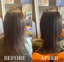 タンパク質ヘアカラー(白髪染め) モニター募集