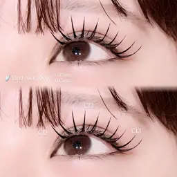 【🪽バインドロック60束】