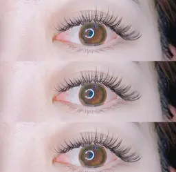 【バインドロンク】 80束6980円　＋LED1500円