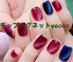 チップ長さ10本＋マグネット(色２色まで)