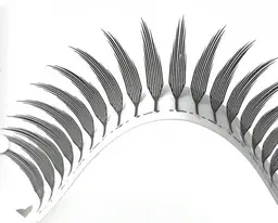 話題の羽マツエク🪽🫧 モニター様募集