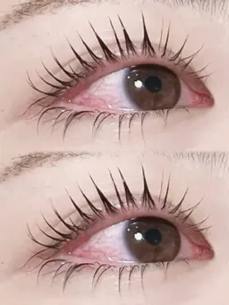 パリジェンヌラッシュ上下