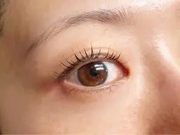 《新規限定》初心者人気💐似合わせまつげパーマ (トリートメント付)