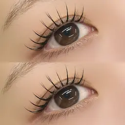 《3回目まで》フラットラッシュ❤︎140本 ¥7270/160本 ¥7770