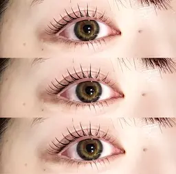 【人気No.2】 上下パリジェンヌラッシュリフト(まつ毛パーマ)🖤👁️↕︎