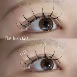 【フラットラッシュ 120本　オフなし】※11:00​〜​17:00（最終受付16:00）限定