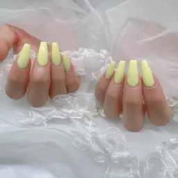 💛オフ無し　ワンカラー