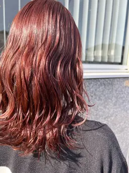 カット＋ブリーチなしWカラー＋保湿トリートメント