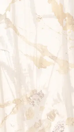 ワンカラー/ラメグラデーション(オフ無し)