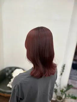 ˗ˏˋ 暖色カラー限定❕ˎˊ˗