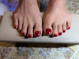 【フット】ワンカラー・ツーカラー（オフなし）