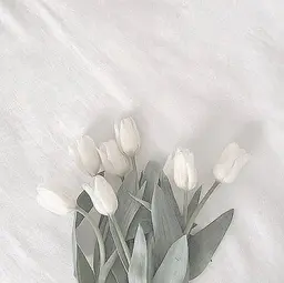 まつげパーマ🌿コーティング付き🌸