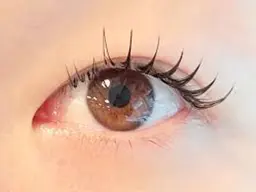 マツエク×パーマ ＆ヘルシー【160本】