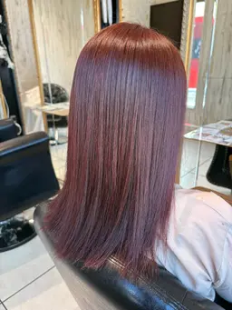 新規限定＊カット＋ワンカラー