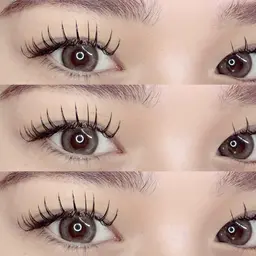 セーブルラッシュ 140本(オフ込)🌼コーティング仕上げ付