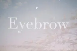 【ミニモ新規限定】美眉スタイリング