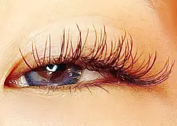 フラットラッシュシングル120本バインドロック20本