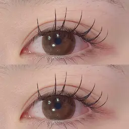 🌸ご新規様限定🌸フラットラッシュつけ放題