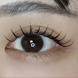 *̣̩⋆̩*🏹フラットラッシュ《80本》🏹*̣̩⋆̩*コーティング付き