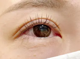 🤎大人可愛い🤎ブラウンフラットラッシュ100本5500円🌈オフ無料　すぐ予約のみ