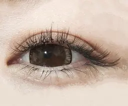 バインドロック80束/240本〜以上◆¥9900→¥7700