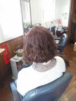 ＊白髪染(ブラウンorブラック)(シャンプー・ブロー付き)