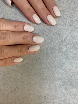 ワンカラー(オフなし)