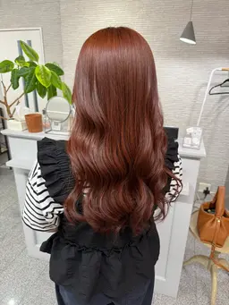 カット、カラー