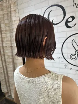 カットのみ(シャンプーブロー付)