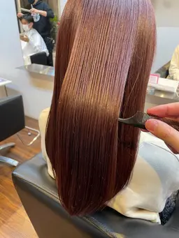 カラー＋バイカルテトリートメントorメテオトリートメント（アルカリ酸熱トリートメント）