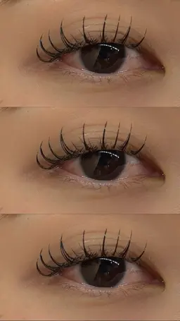 フラットラッシュ140本